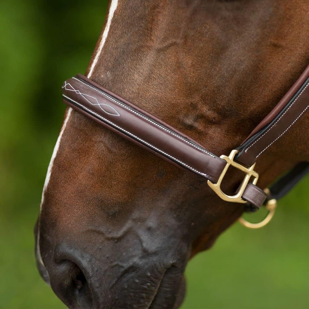 Joseph Sterling Comfort Crown Leather Halter for Horses | Memory Foam Interior for Comfort | Anatomical Design Radiant Chocolate Color with Fancy Stitch Design