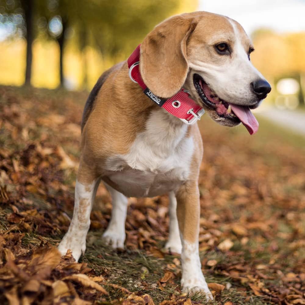 TSPRO Tactical Dog Collar 1.25 Inch Wide Thick Dog Collars with Heavy Duty Metal Buckle, Durable, Strong, Adjustable for Small Dogs (Red S)
