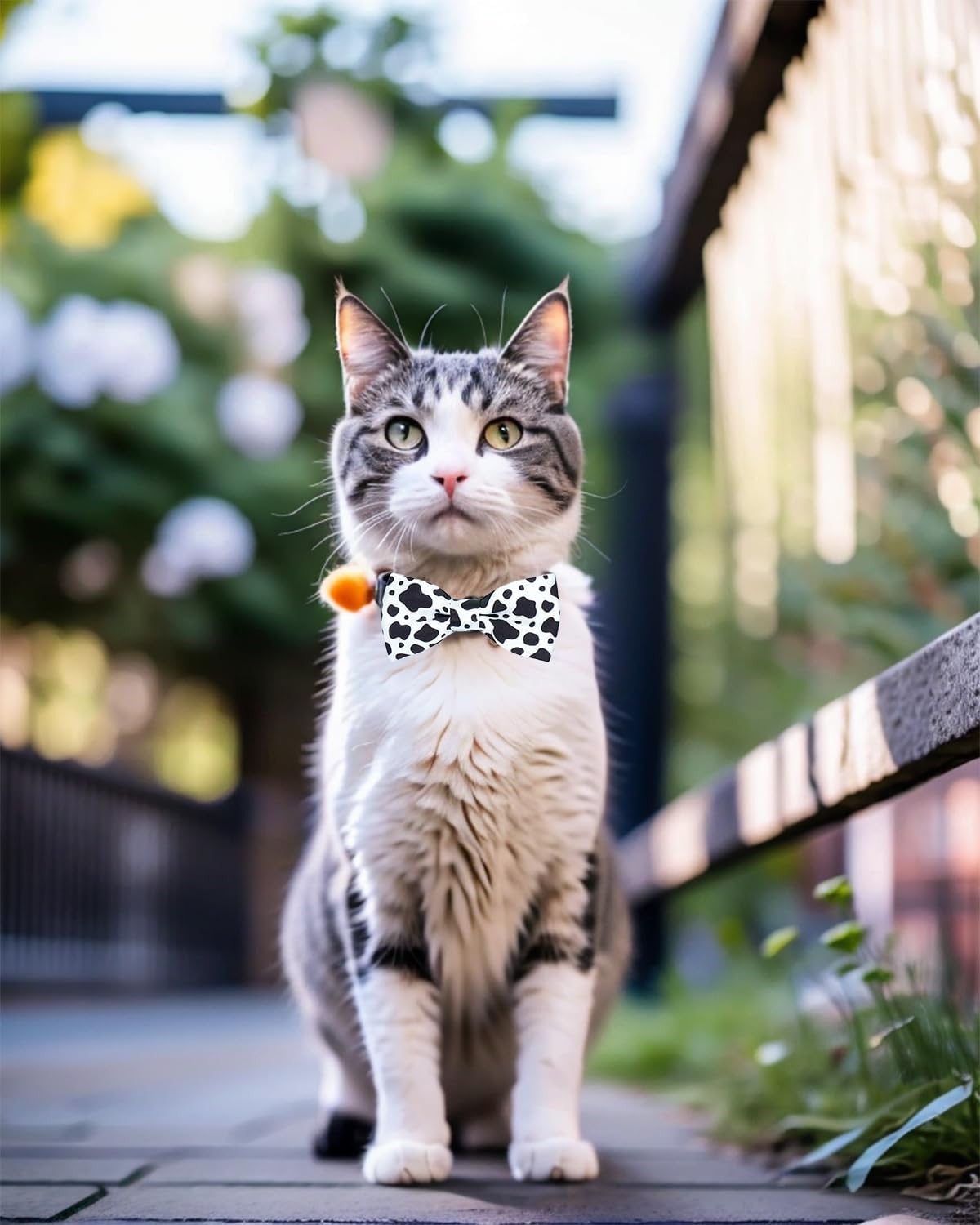 PET SHOW 10 Pack Small Dog Bow Ties Sliding Collar Attachments Puppy Cats Daily Bowties for Medium Dogs Multiple Styles Cute Summer Bowknots Wedding Party Holiday Pet Grooming Accessories(Small)