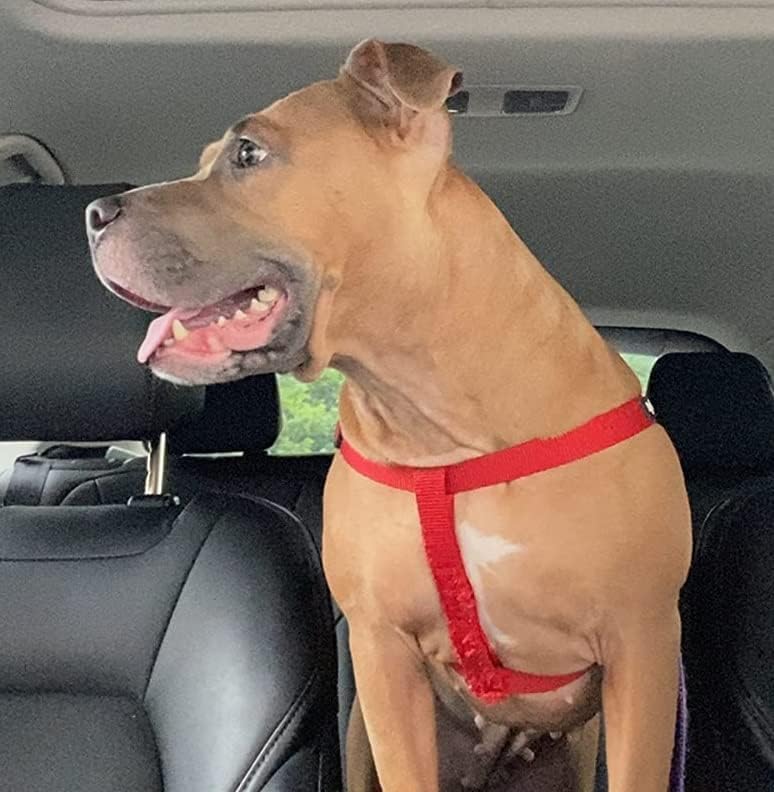 PUPTECK No Pull Dog Harness Soft Adjustable Basic Nylon Step in Puppy Vest Outdoor Walking with ID Tag Red