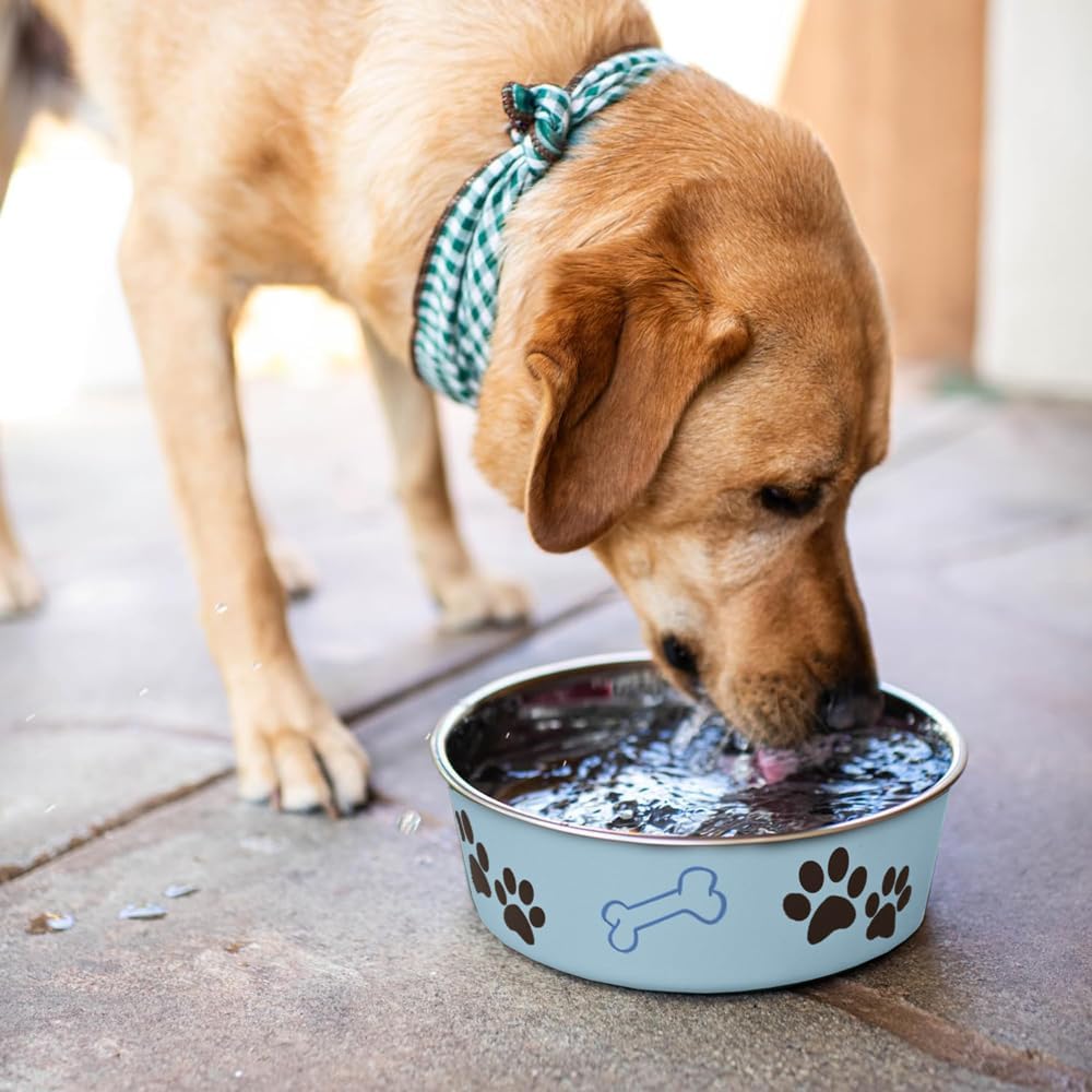 Loving Pets Bella Bowls Murano Blue (Large)