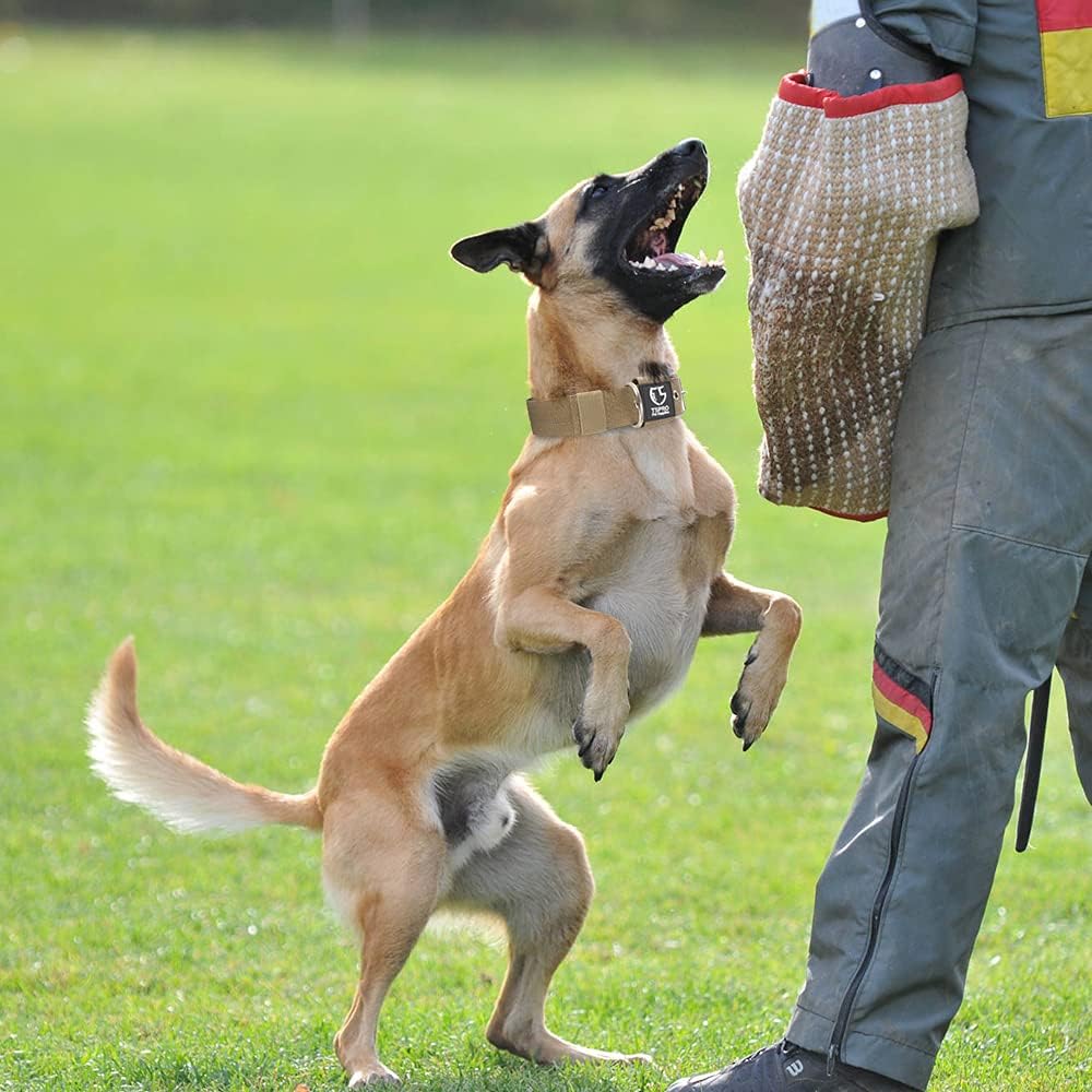 TSPRO Tactical Dog Collar 1.5 Inch Wide Thick Dog Collars with Heavy Duty Metal Buckle, Durable, Strong, Adjustable for Medium to Large Dogs (Khaki M)