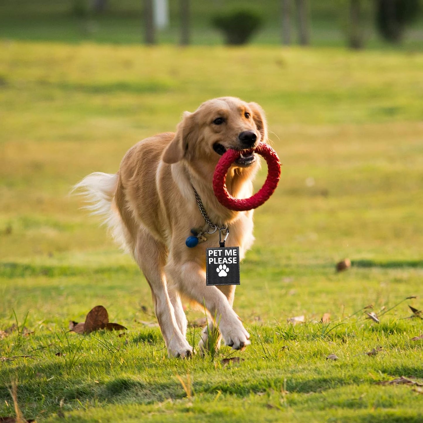 Funny Dog Leash Sleeve Pet Me Please Dog Leash Wrap Wrap Alert Hanging ID Patch Tag Pet Birthday Gift(Pet Me Please-Tag)