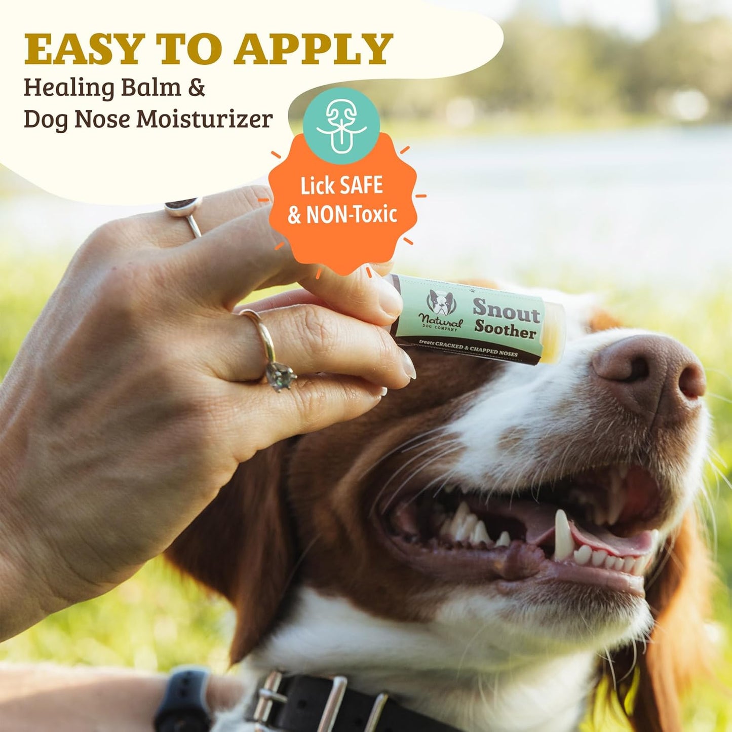 Natural Dog Company Snout Soother, Dog Nose Balm, Wax & Cream for Dry, Cracked Noses, Heals & Moisturizes with Shea Butter & Coconut Oil, Lick-Safe Nose Butter, Made in USA, 0.15 oz. Stick