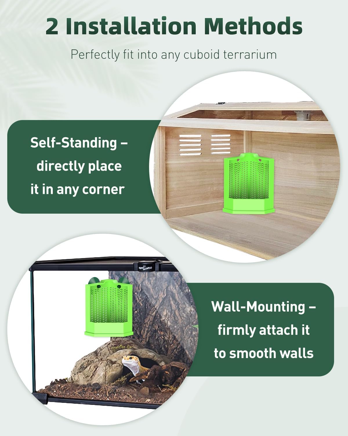 Pawfly Bearded Dragon Feeder - Escape-Proof Corner Reptile Food Box, Wall-Mounted with Suction Cups for Insects - Bug Bowl for Lizards, Geckos, Chameleons & Frogs