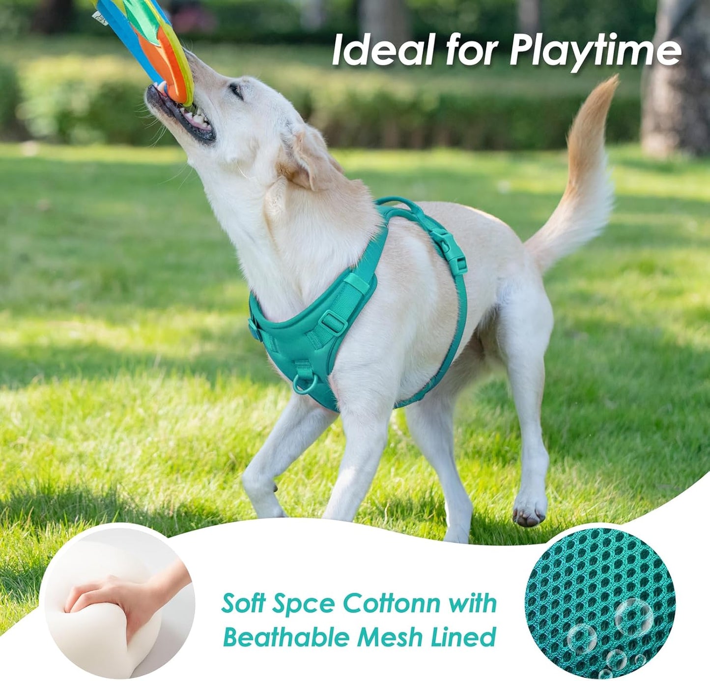 No Pull Dog Harness, Puppy Vest with Front Clip for Small Medium Large Sized Dog(MARRS Green,S)