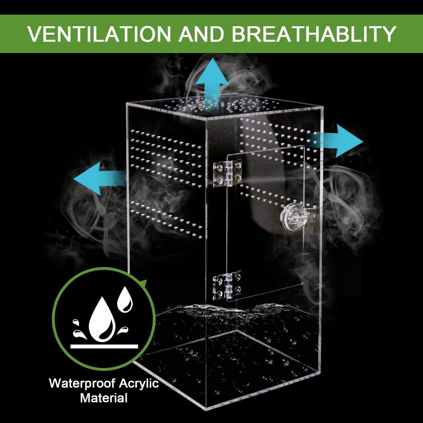 Spider Terrarium Kit, Jumping Spider Enclosure with Hideout, Rope Bridge, Ledge Ladder, Micro Habitat Terrarium for Small Tree Dwelling Reptiles, Arboreal Tarantula Enclosure (6x6x12 Inches)