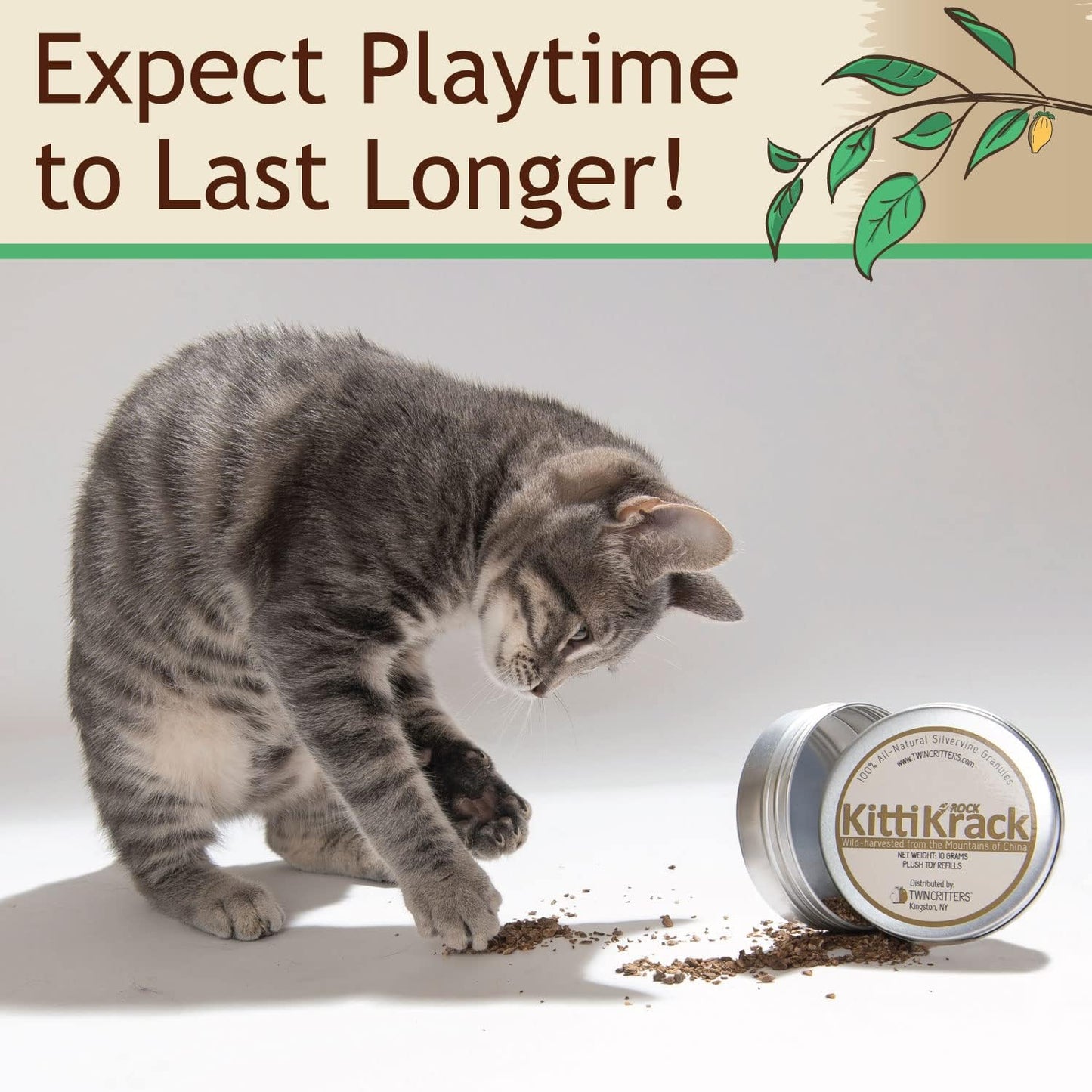 KittiKrack Rock Organic Silvervine Catnip Substitute for Cats & Kittens | All-Natural Wild Harvested Silvervine Granules | 4 Refills for TWINCRITTERS Refillable Plush Cat Toys | 10g