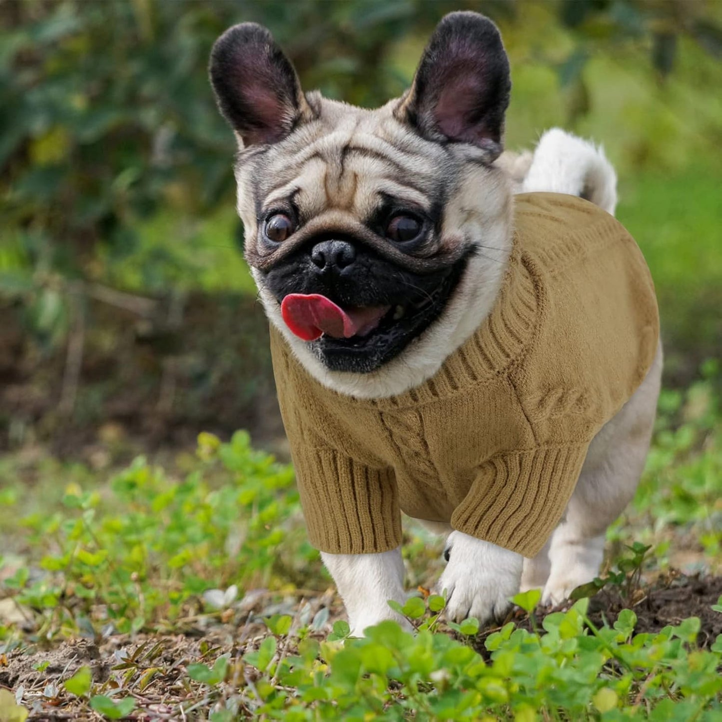 Queenmore Dog Sweater for Large Size Dog,Pitbull Doggy Sweater,XXL Pet Sweater for Labrador Retriever,Cold Weather Warm Knitted Pet Sweatershirt for Boy Girl Dogs (Brown,2XL)