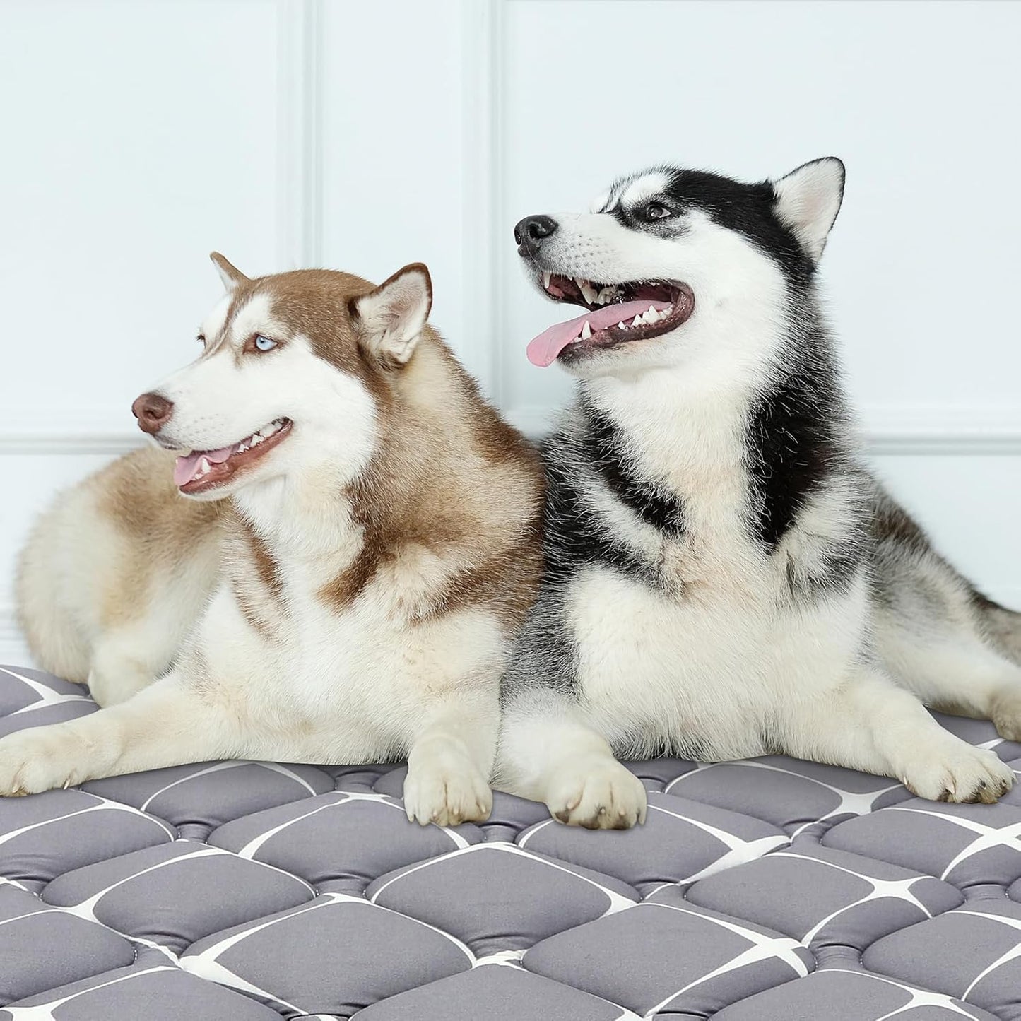 Bubble bear Dog Crate Mat - Ultra Soft, Washable & Anti-Slip Kennel Pad for Small/Medium/Large Dogs, Dark-Hued to Hide Stains (36"x23")