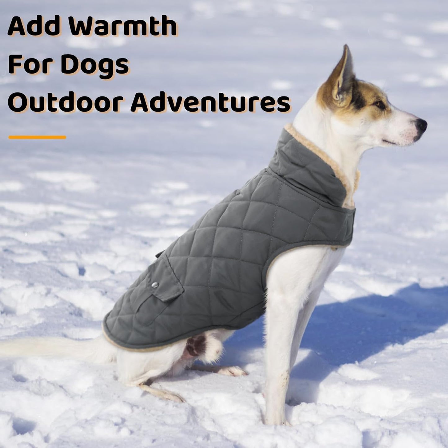 Queenmore Dog Winter Coat - Fleece Jacket, Waterproof Cold Weather Clothes, Thick Warm Cotton Padding, Easy On/Off Storage Pockets (Grey, X-Small)