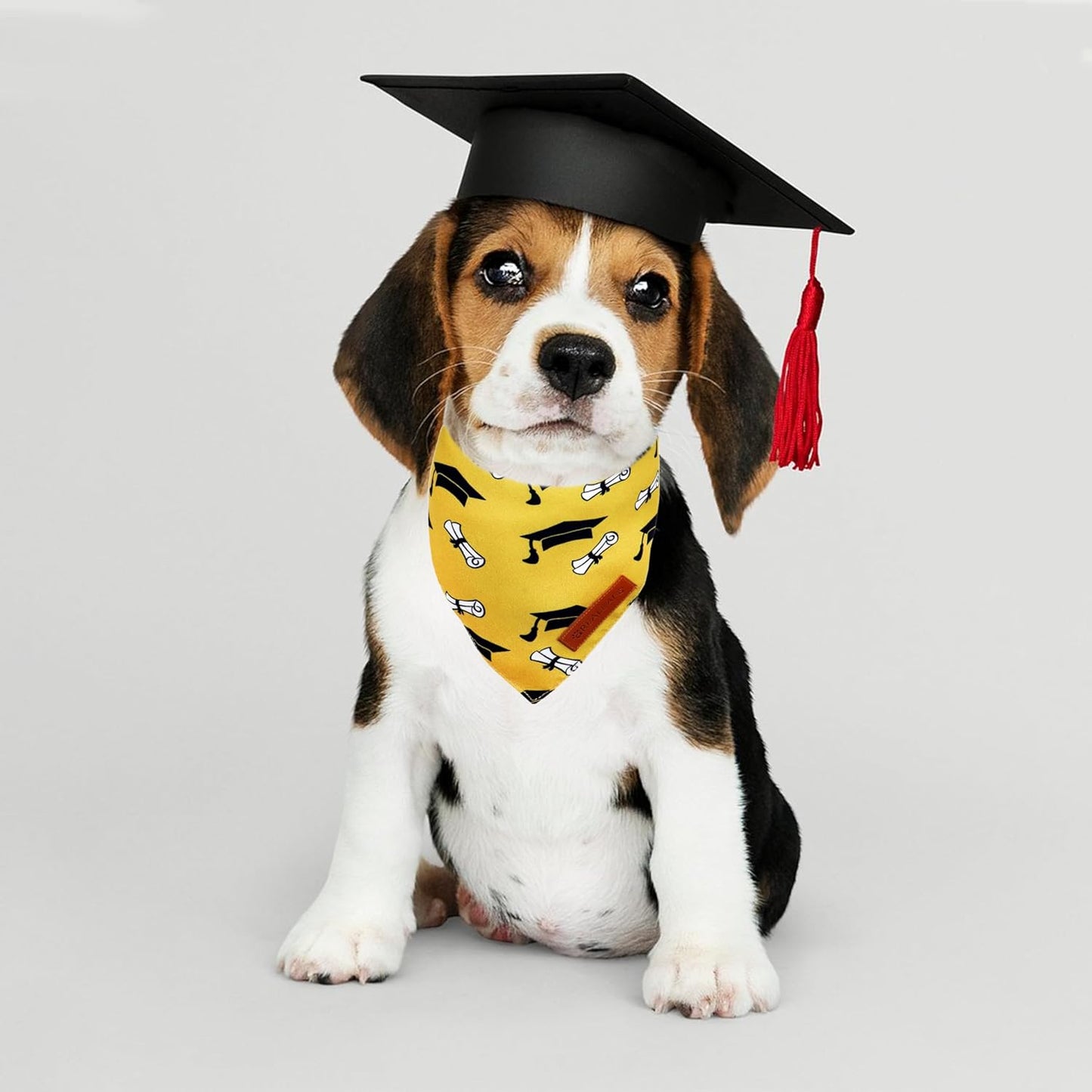 Realeaf Graduation Dog Bandanas 2 Pack, Reversible Pet Scarf for Boy and Girl, Premium Durable Fabric, Holiday Bandana for Small Medium Large and X-Large Dogs (Graduation, Large)