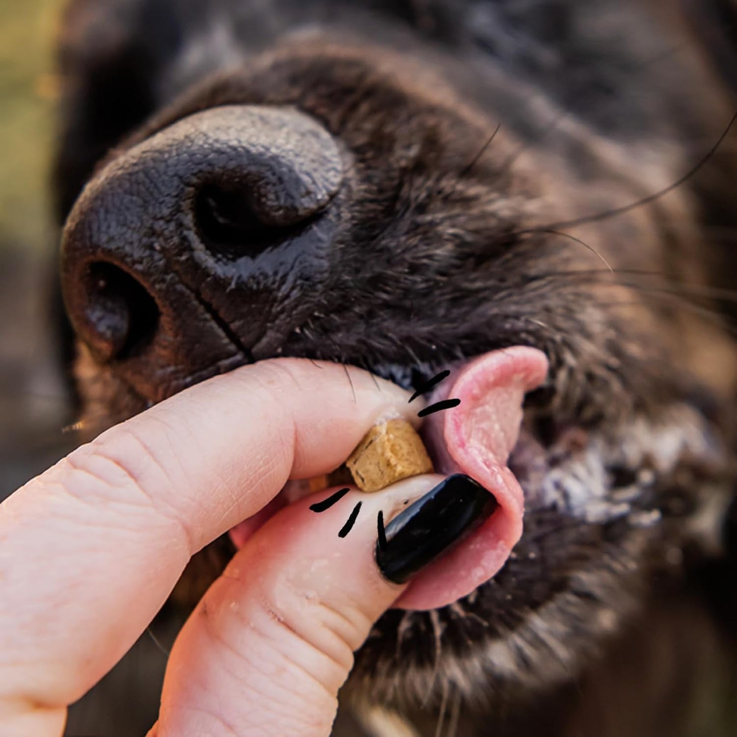 Spot & Tango Beef Dog Training Treats - 100% Beef Liver, Freeze-Dried Dog Snack - Grain & Gluten-Free - for Small, Medium, and Large Dogs - for Puppies Through Seniors