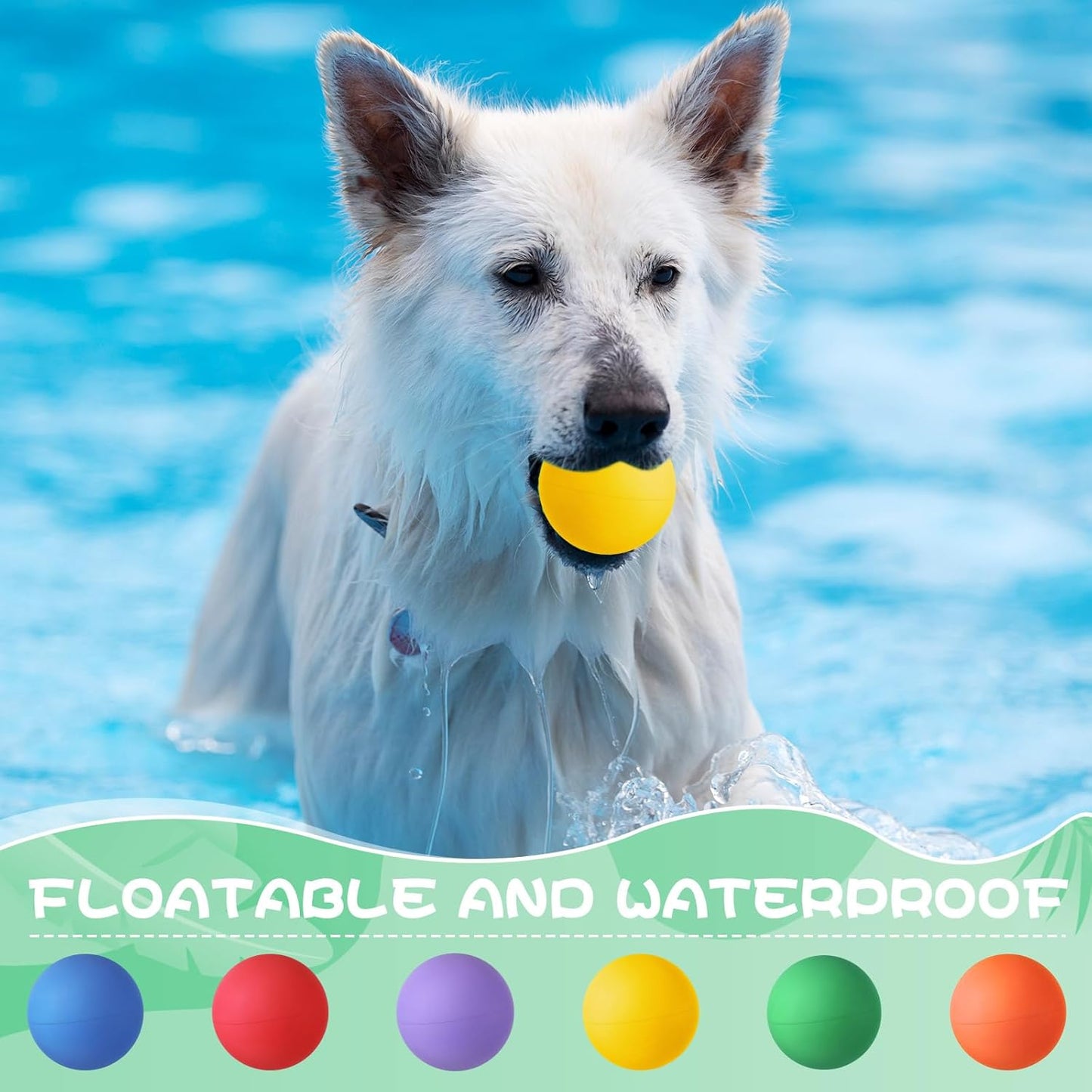 Shappy 24 Pieces Rubber Dog Tennis Balls for Dog Colorful Catching Pet Balls for Fetch Training 2.4 Inch Interactive Bounce and Floatable Toy for Park Beach