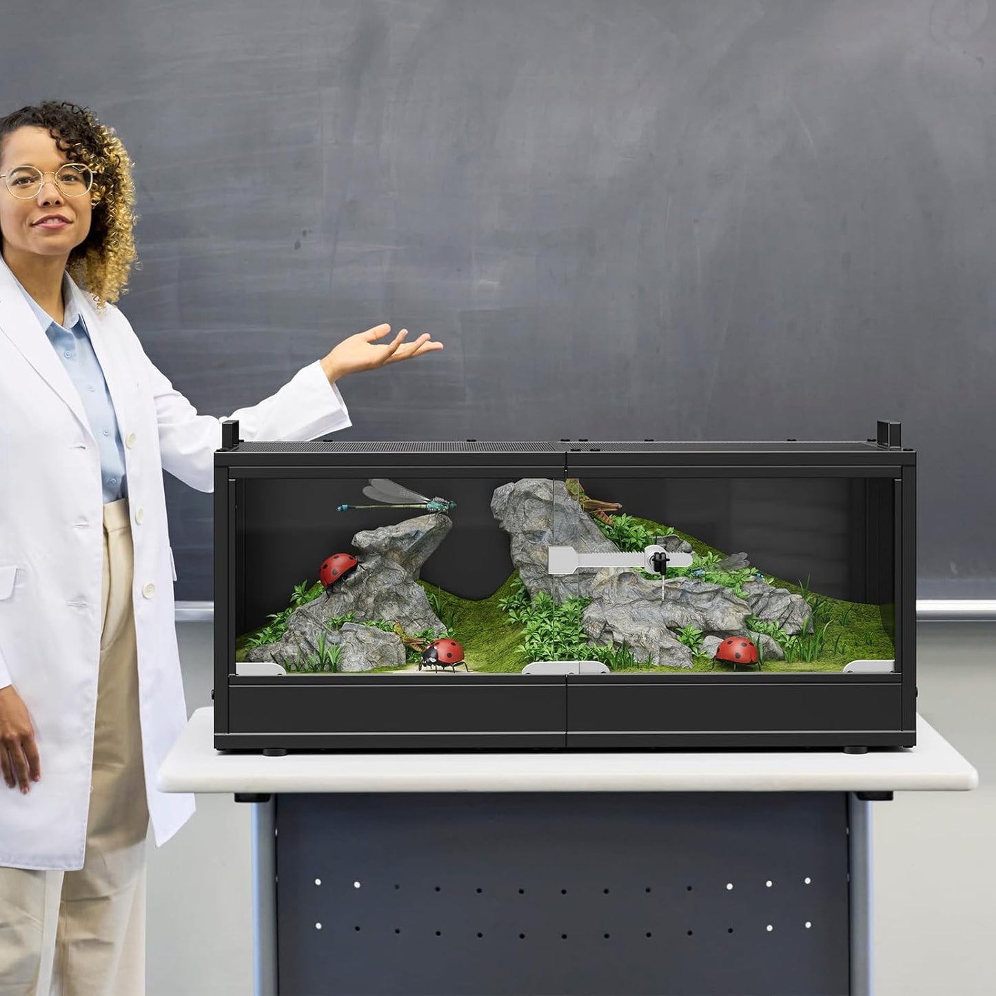 20 Gallon Reptile Terrarium Tank with Sliding Glass Door Bearded Dragon Tank with Top Ventilation Metal Panel Safety Lock Reptile Enclosure for Insect, Geckos, Lizards, Frogs, and Tortoises