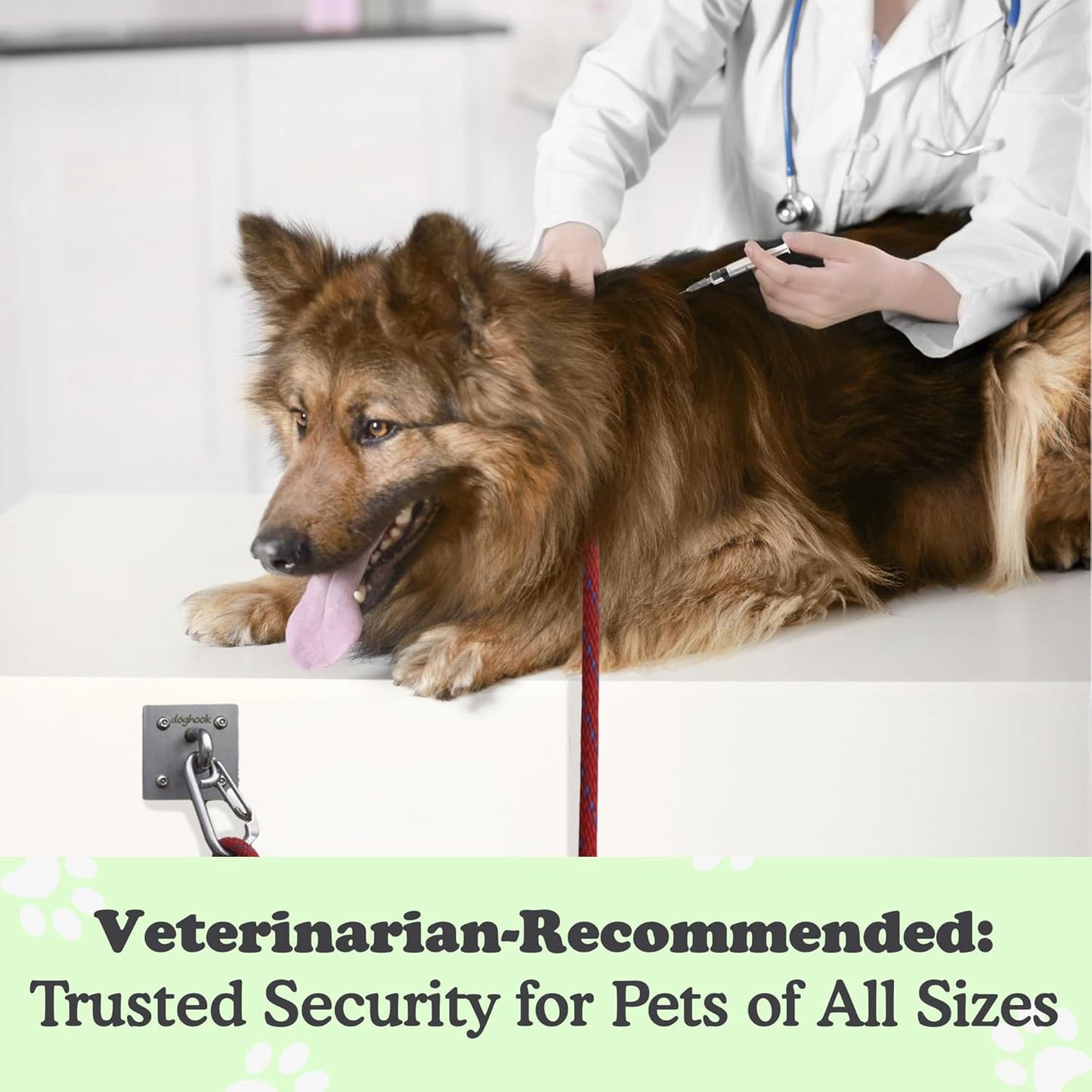 Canine Hitch- Secure Dog Leash Parking Wall Large Hook with Clip 6 Pack - Tie Out Stainless Steel & ABS Mounting Plate for Strength - Practical Lead Management for Home & Business