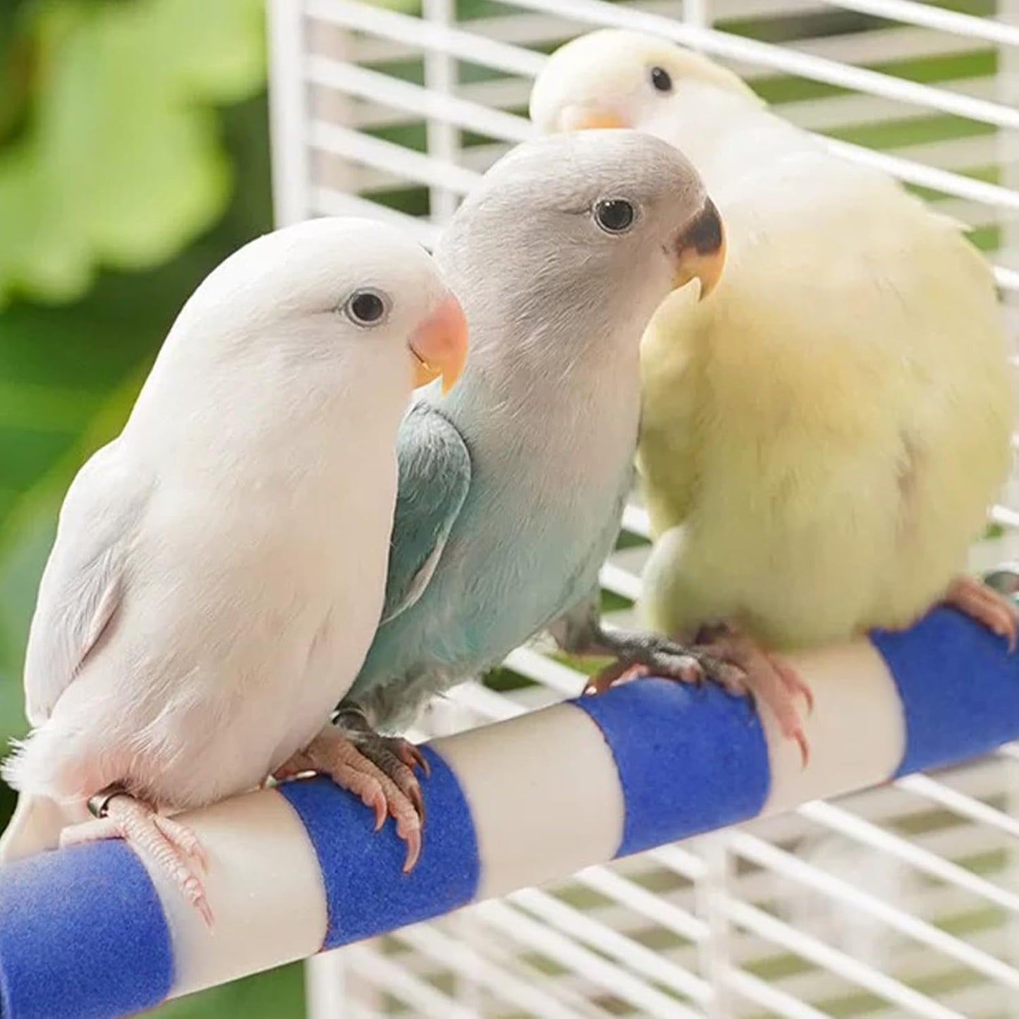 Bird Perches for Cage Bird Cage Accessories Toys Parrot Sand Paw Grinding Stick for Budgies Lovebirds Cockatiels Conures Quakers Small to Medium Birds