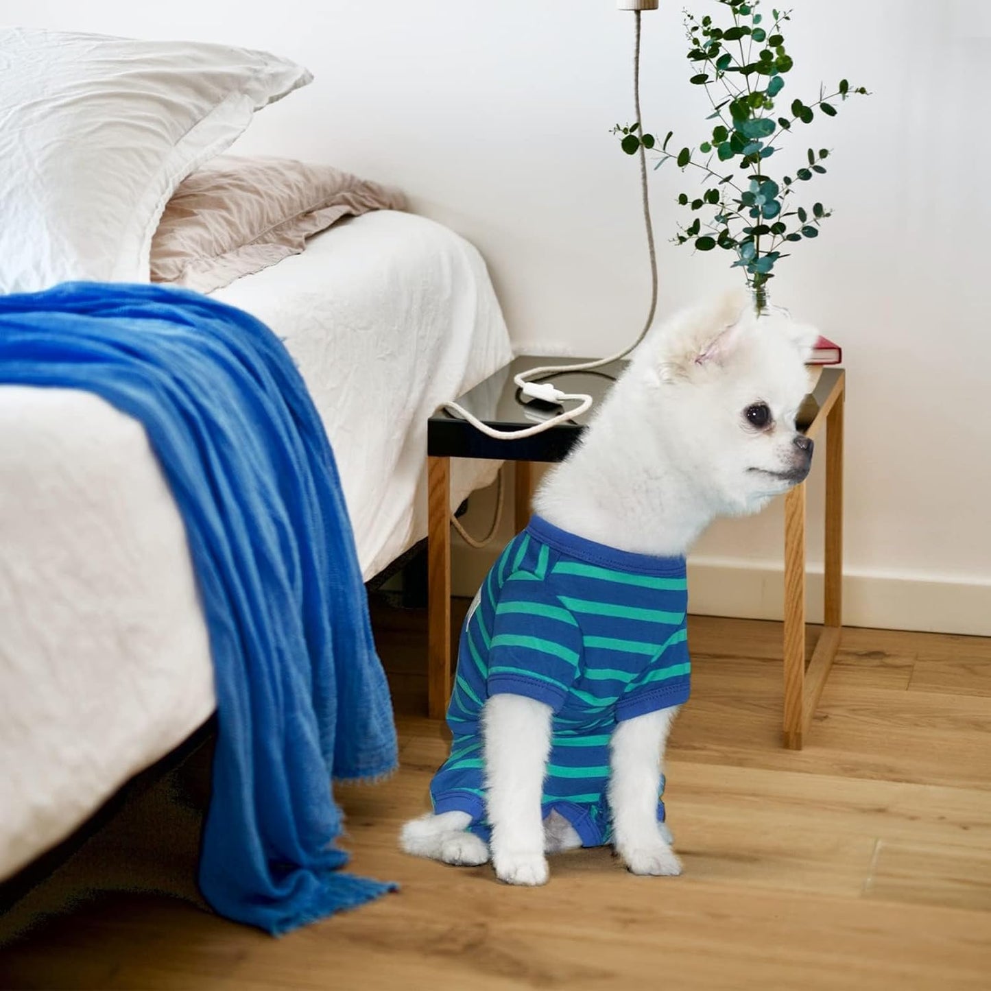 TONY HOBY Dog Pajamas for Female/Male, Dog Jumpsuit with Stripes for Small Medium Dogs, Soft and Comfortable 4 Legged Pajamas Dogs Clothes (Blue&Green, Boy, XL)