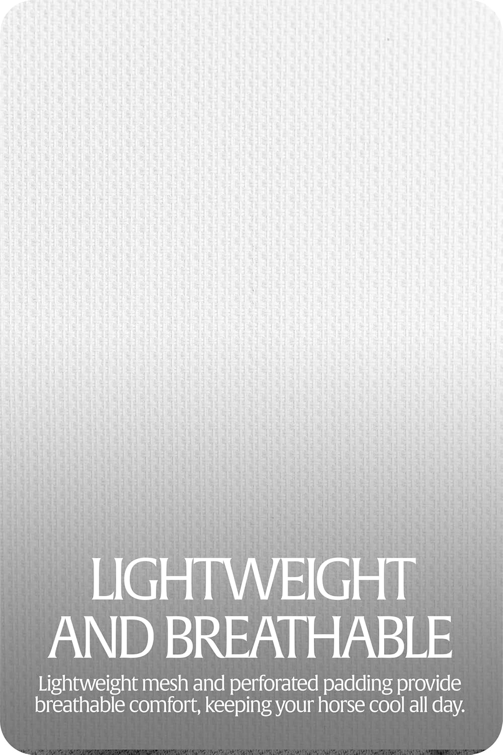 Equinavia Algard Soft Mesh Horse Fly Mask with Ear Protection and 45 UPF Rating | No Eye Irritation & UV Protection - Silver - Warmblood