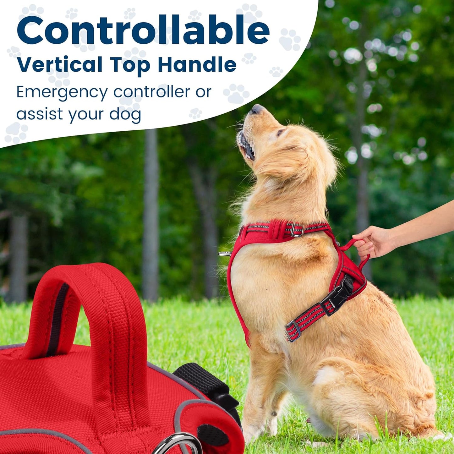 Funfox Dog Harness No Pull, Adjustable Pet Vest Harness, Super Soft Material with Vertical Handle Easy Control, Reflective Night Walking, 2 Leash Clips for Medium Sized Dogs, Red, M