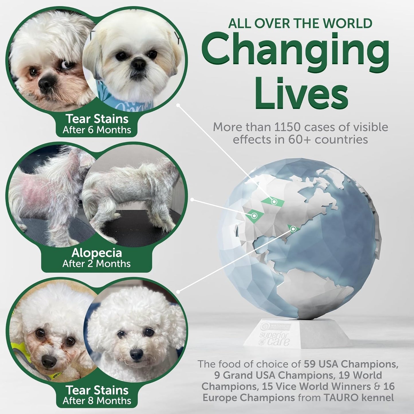 Nature's Protection Grain Free Dry Dog Food for Small Breed - High Protein Tear Stain Formula - Small Kibble for Adult Dogs with Light Fur (Superior Care - Herring, 3.3 lb)