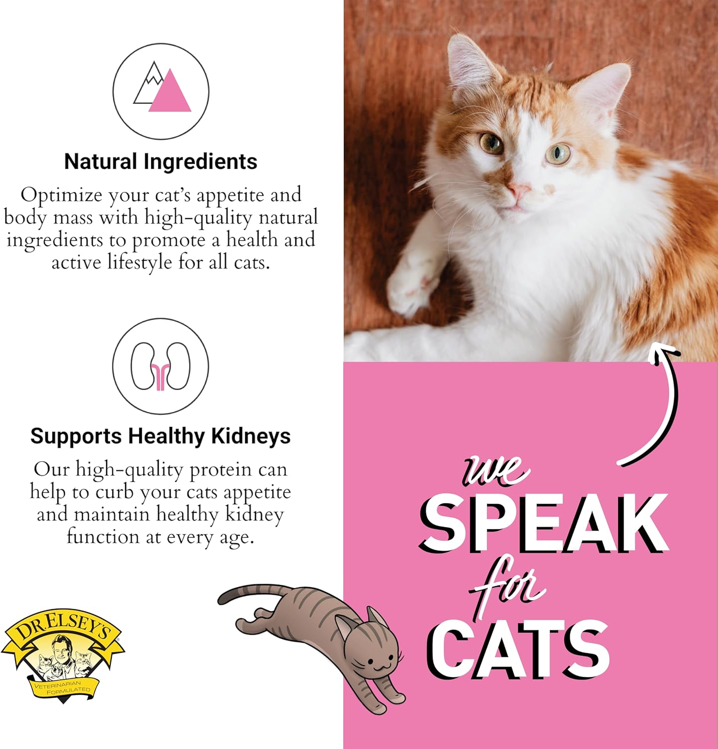 Dr. Elsey's cleanprotein Protein Bites Pork 6 oz.