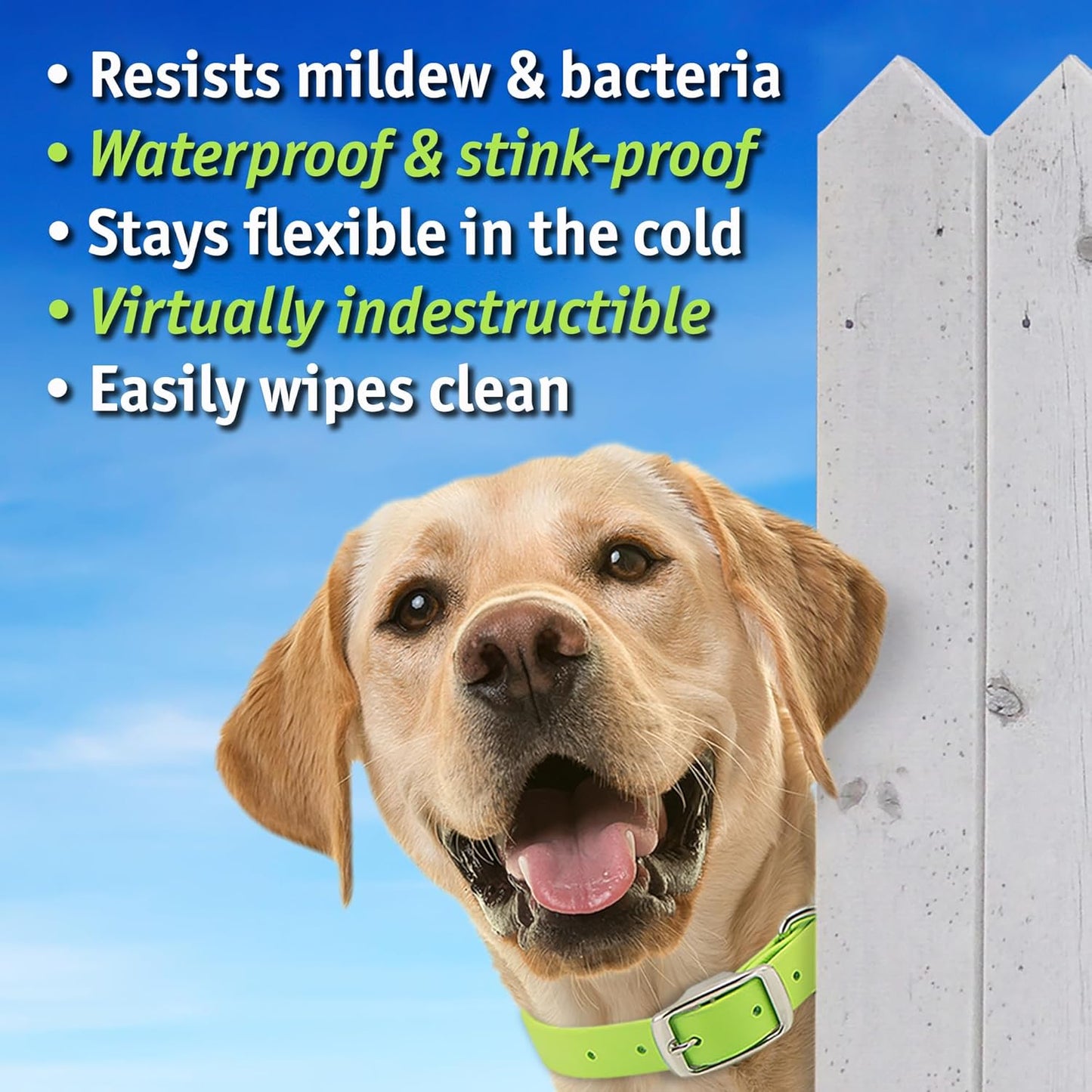 Biothane Custom Dog Collar – Waterproof, Stink-Proof Personalized Collar with Name & Phone Number – Durable, Many Sizes and Colors – Assembled in USA (Black)