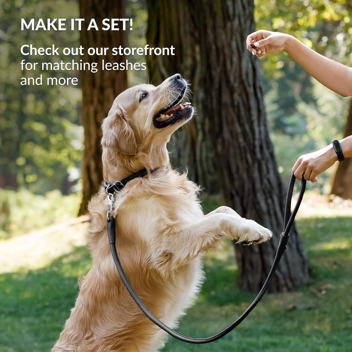 CollarDirect Rolled Leather Dog Collar, Soft Padded Round Puppy Collar, Handmade Genuine Leather Collar Dog Small Large Cat Collars 13 Colors (6-7 Inch, Black Smooth)