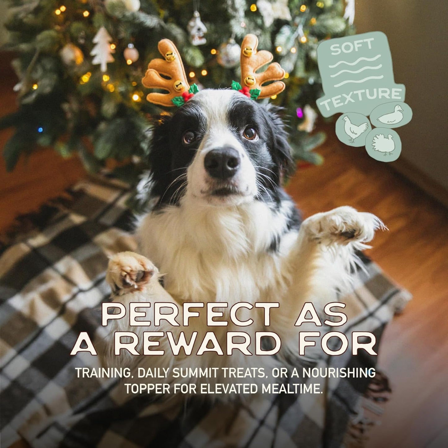 Smart Cookie Turducken Holiday Dog Treats - Turkey, Duck and Chicken Christmas Dog Treats - Healthy, All Natural, Grain Free, Human-Grade - Made in USA - 5oz