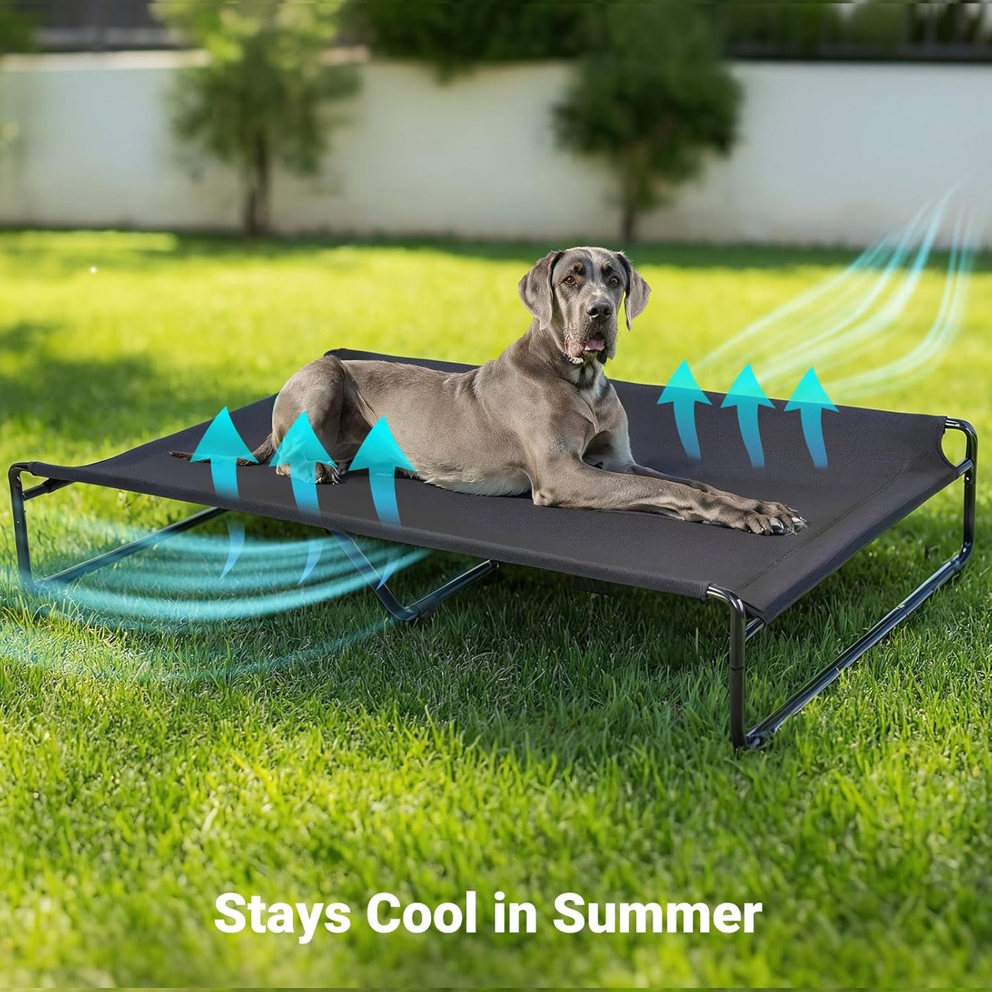 Veehoo Original Outdoor Elevated Dog Bed, Cooling Raised Dog Cot for Large Dogs, Portable Standing Pet Hammock Platform with Washable Breathable Mesh, No-Slip Feet, XX-Large, Black, CWC2201