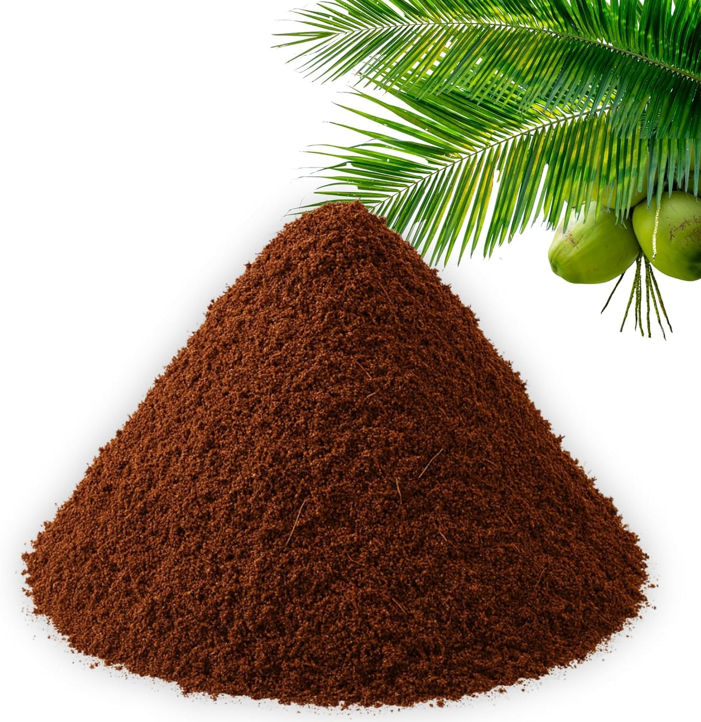 Coco Coir Professional Plus β Organic Coconut Coir Fiber for Plants - Coco Peat (15 quarts - 0.5 CU FT)