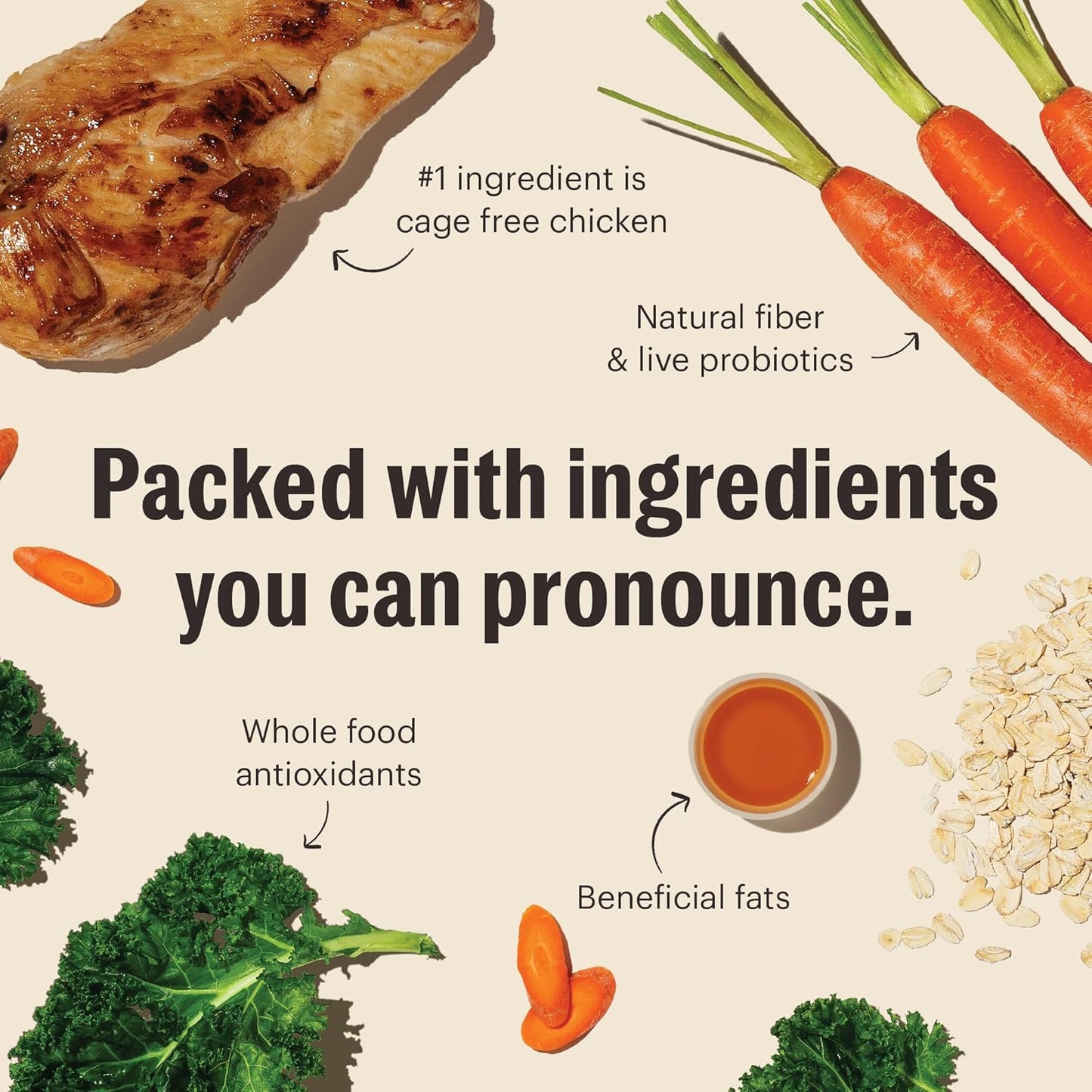 The Honest Kitchen Whole Food Clusters Whole Grain Chicken & Oat Dry Dog Food, 5 lb Bag