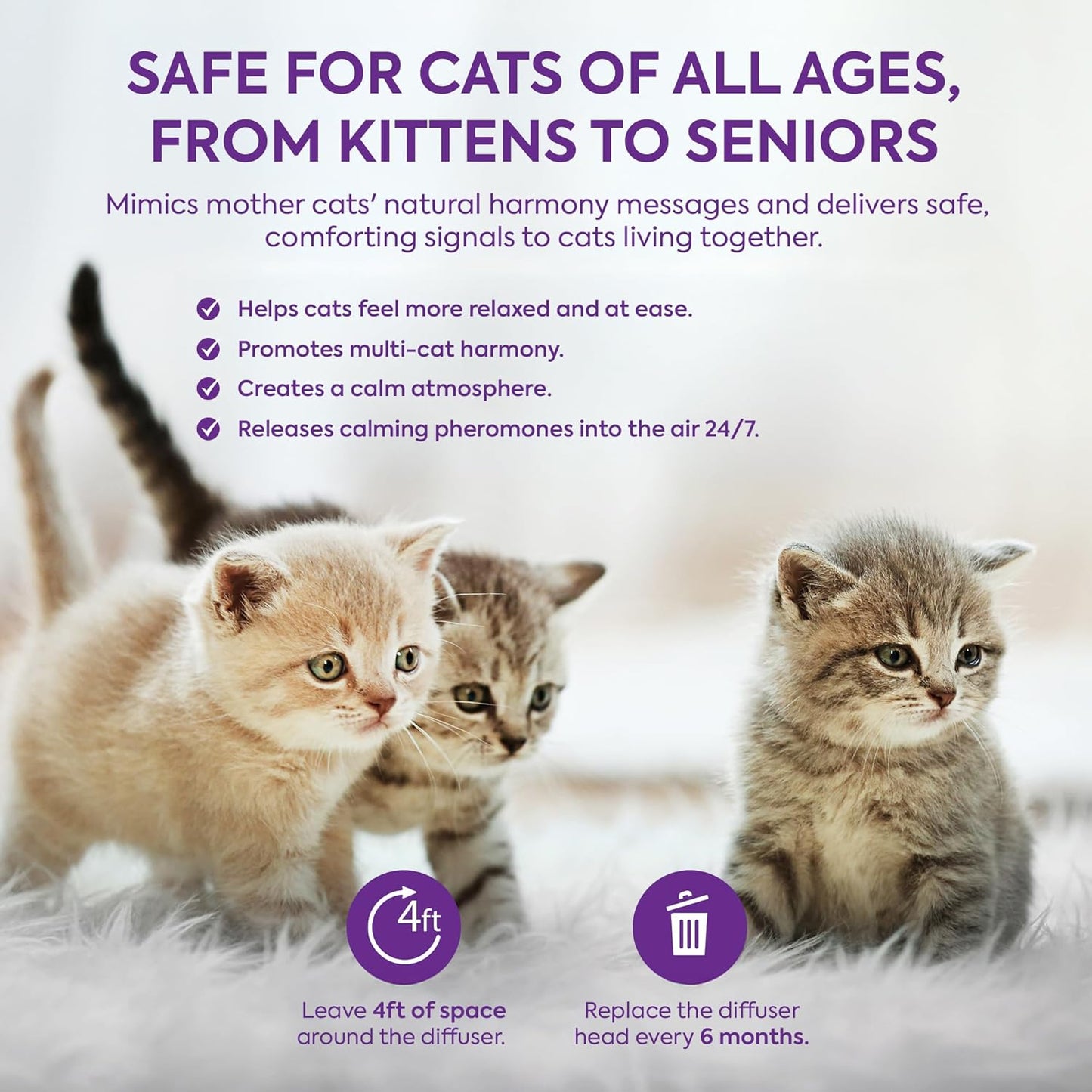 Cat Calming Diffuser Refills: Pheromone Refill for Cats, Long-Lasting 6-Month Supply, Compatible with Most Diffusers, 6 Pack (Purple)