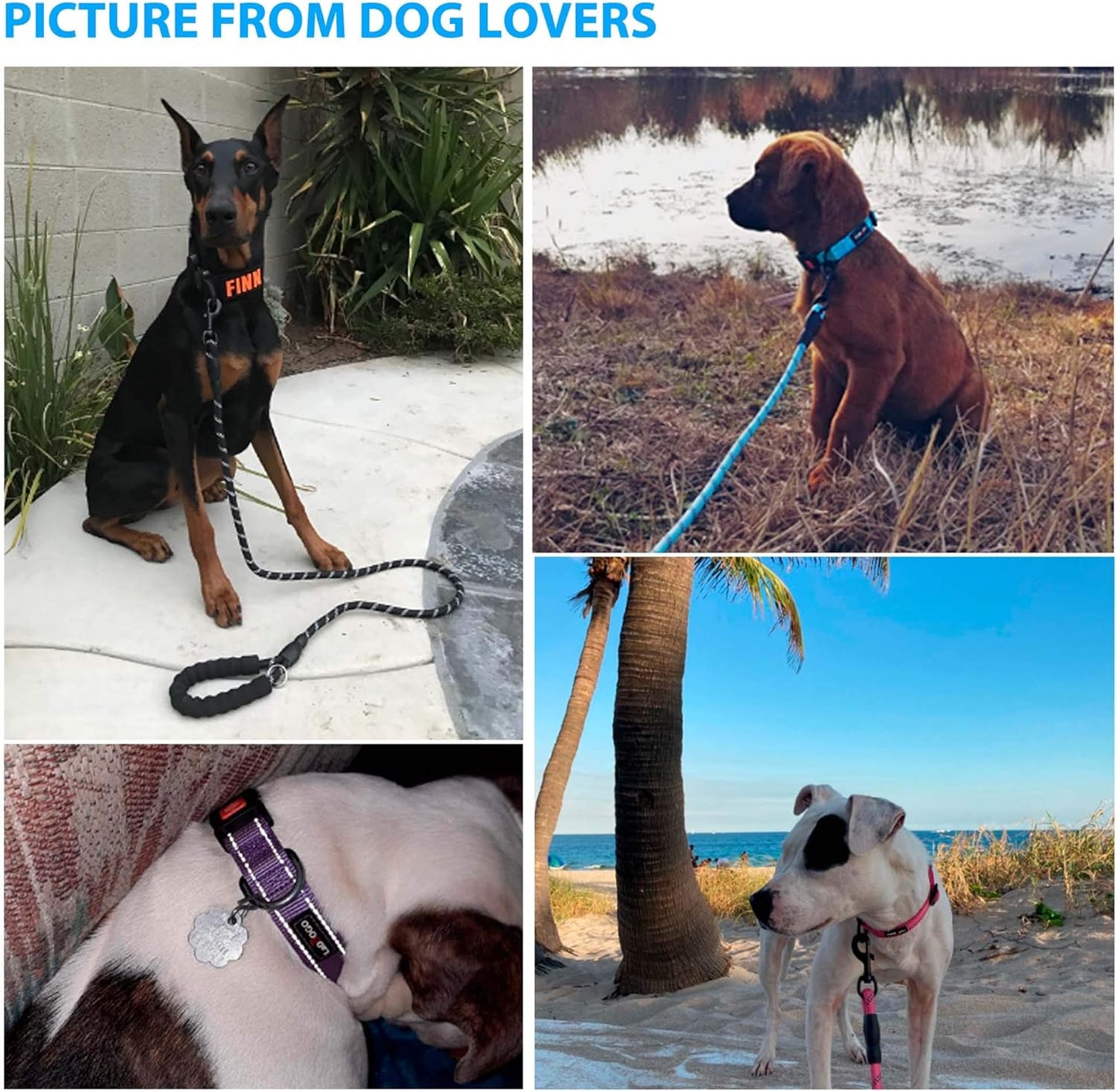 Heavy Duty Dog Leash - Comfortable Padded Handle, 5 ft Long - Dog Leashes for Small Medium Large Dogs (Leash+Collar L Neck 20"-25", Pink)