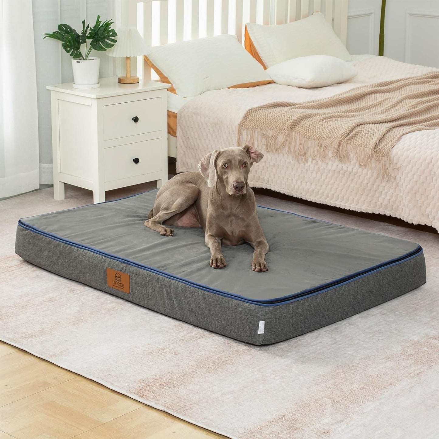 Orthopedic Memory Foam Giant Dog Bed - 6" Thick Beds for Large Sized Dog - Waterproof Removable Washable Cover & Wrap-Around Zipper - Ultimate Comfort & Easy Maintenance, Dark Grey