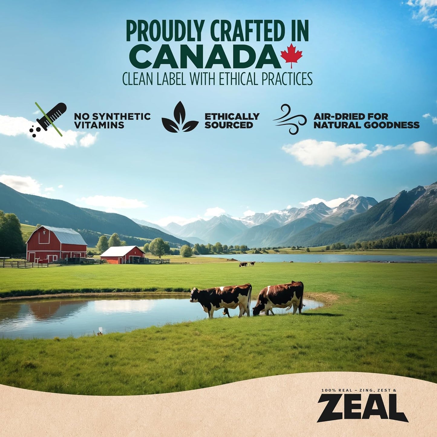 ZEAL Canada Air-Dried Salmon & Duck Recipe for Dogs - Superfood Omega-3 Rich, Dual-Protein, Grain Free, No Fillers, Complete Nutrition (Salmon & Duck, 2.2 lb)