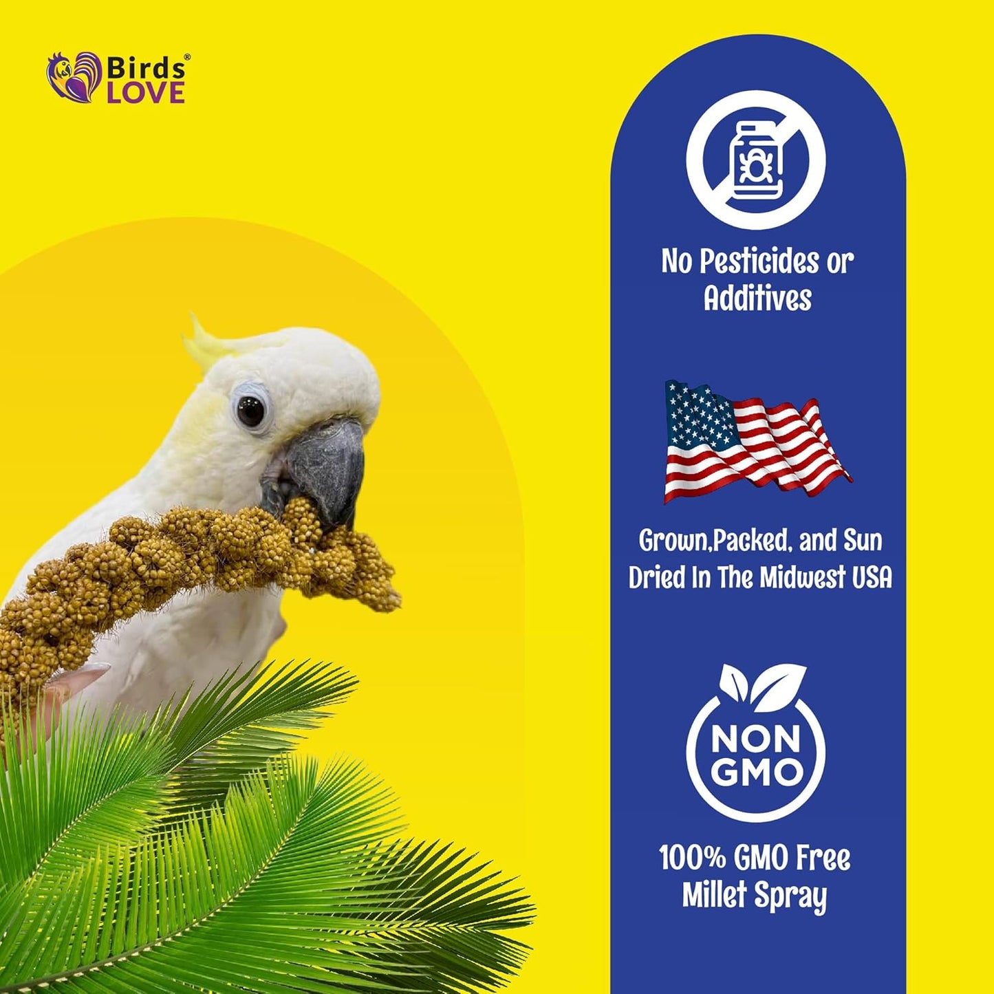 Birds LOVE Spray Millet – 9 oz GMO-Free, No Stems (Only Edible Tops) – Healthy Treat for Parakeets, Cockatiels, Finches, Canaries & Lovebirds