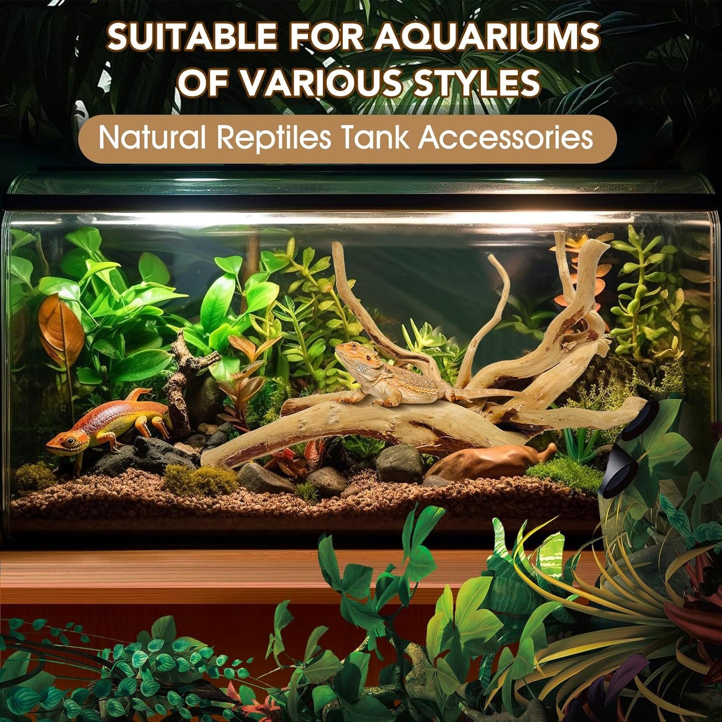 Natural Large Spiderwood Driftwood for Aquarium Decor Rptile Fish Tank Decoration Assort Branch 11-14'' 2 Pcs