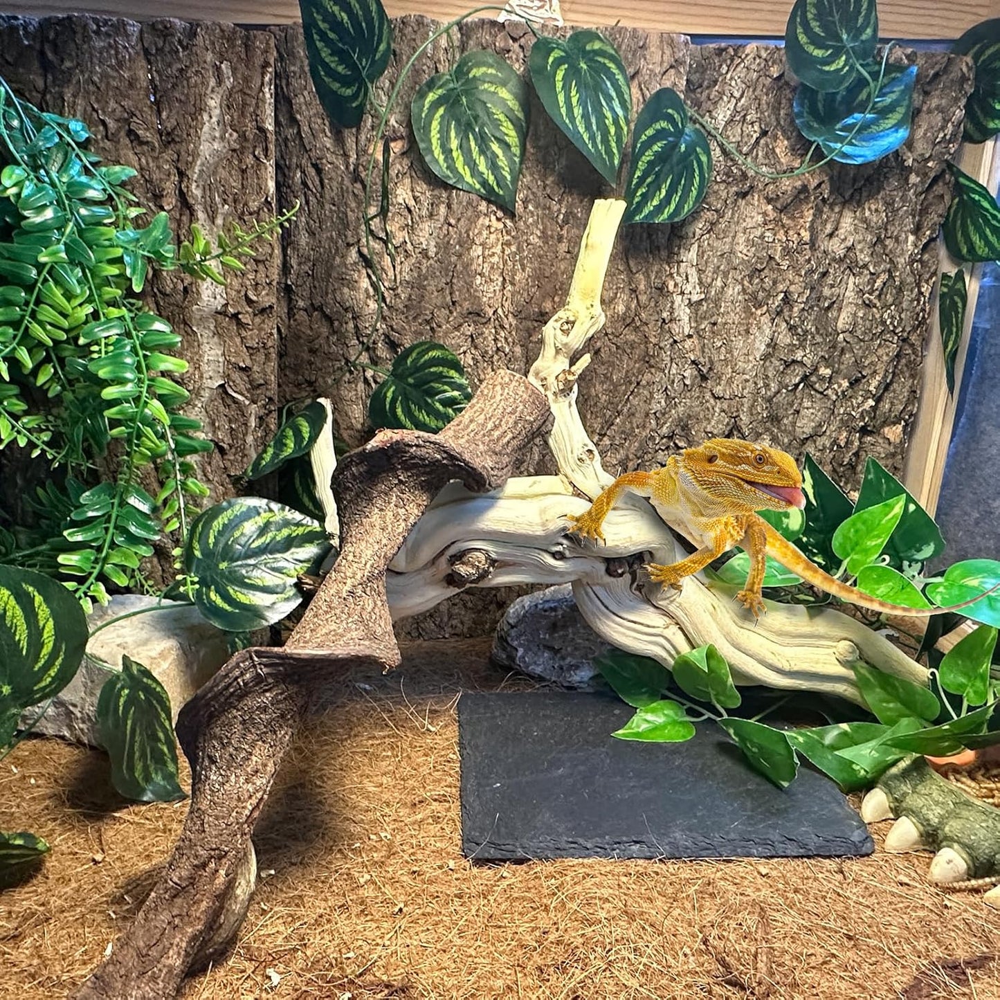 BNOSDM Reptile Branches, 15-17inch Snake Climbing Branch, Terrarium Wood Branch Decor, Bearded Dragon Tank Climbing Accessories for Lizard, Gecko, Chameleon, Frog, 2Pcs