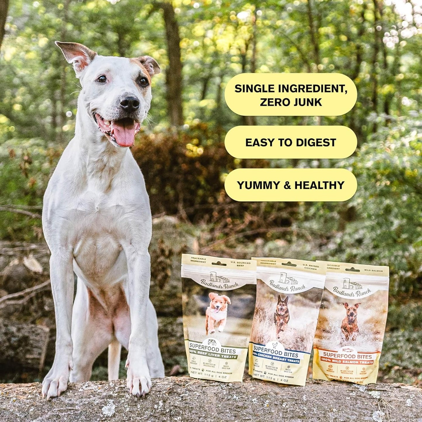 BADLANDS RANCH - Superfood Bite, Freeze-Dried Raw Dog Treats - Protein Rich, Train & Reward, Traceable Single Ingredient by Katherine Heigl (Beef Liver)