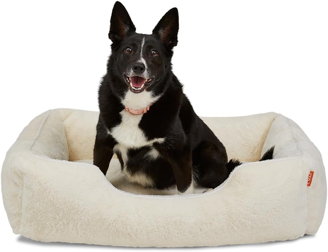 FUZI Luxury Aesthetic Dog Bed for Large Dogs with Washable Cover, Pet Couch, Pet Bed with Sides, Non-Slip Bottom, Soft and Durable Calming Dog Bed, Faux Rabbit Fur, Large 35.6x28.5x9.5 Soft White