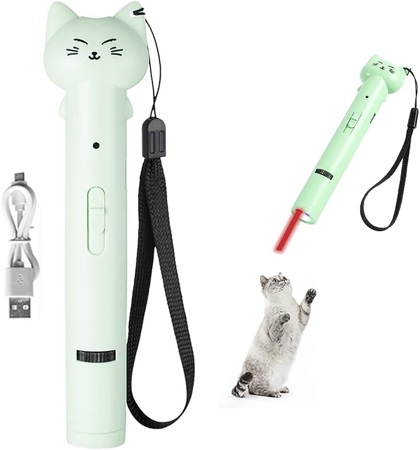 PARTSPOWER Laser Pointer Interative Cat Toy for Cats to Chase, Rechargeable Red Laser Light Pointer Exercises Training Tool for Kittens Cats Dogs (Green)