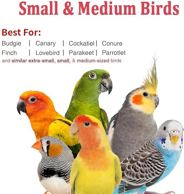 Small Bird Travel Carrier, Portable Bird Travel Outside Cage for Parakeet, Parrot, Budgie, Guinea Pig, Bearded Dragon Reptile Carrier for Hiking Vet Visit Bicycle Ride (Orange)