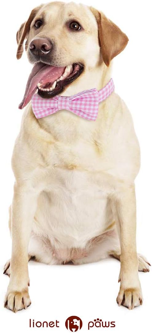 Lionet Paws Dog Collar with Bowtie, Comfortable Adjustable Cute Pink Gingham Bow Tie Collar for Female Puppies and Cats Gift, XS, Neck 8-12 inches