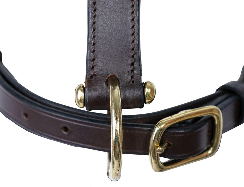 Schneiders Premier Lancaster Fixed Throat Leather Halter for Horses | 1" Single-Ply Leather | Lightweight Everyday Design | Brass Hardware