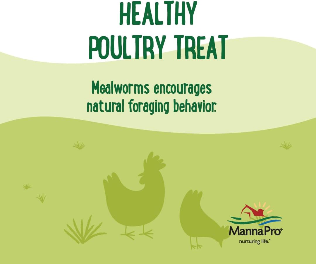 Manna Pro Farmhouse Favorites Mealworms Poultry Treat - Protein Treat for Chicken - Poultry, Turkey, Ducks, Geese, and Guinea Fowl Treat - Contains 50% Protein - 100% Natural Poultry Snack - 2lbs