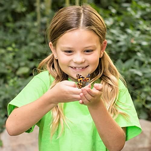 Insect Lore Butterfly Garden with Giant Birthday Card | 5 Live Baby Caterpillars | STEM Journal, Habitat, Chrys-A-Lid, Feeder | Raise and Release Painted Lady Butterflies