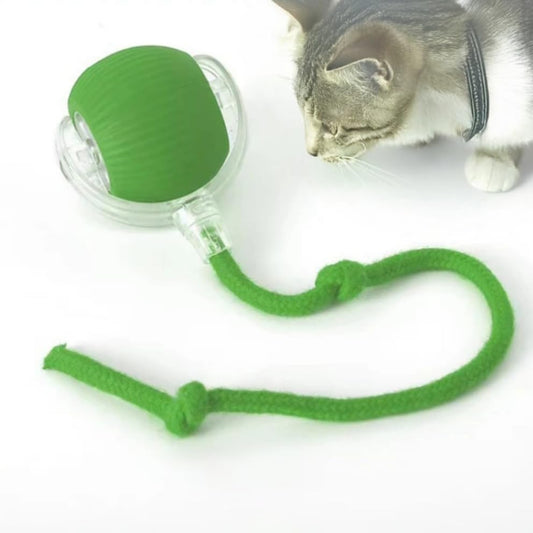 Cat Toy Ball with Tail Rope, Smart Rolling Ball, LED Light, Electric Self-Rolling Small Pet Toy, Interactive Jumping, Automatic Teaser, Small Dog and Pet Excercise, Fun Activity (Green)