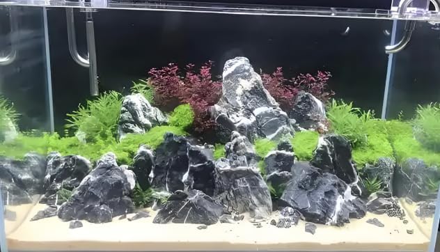 Seiryu Stone Natural Stone Rocks Fish Tank Decor Rocks for Aquariums Landscaping Model Tank Decoration Aquarium Miniature -20Lb (2-8 inch)