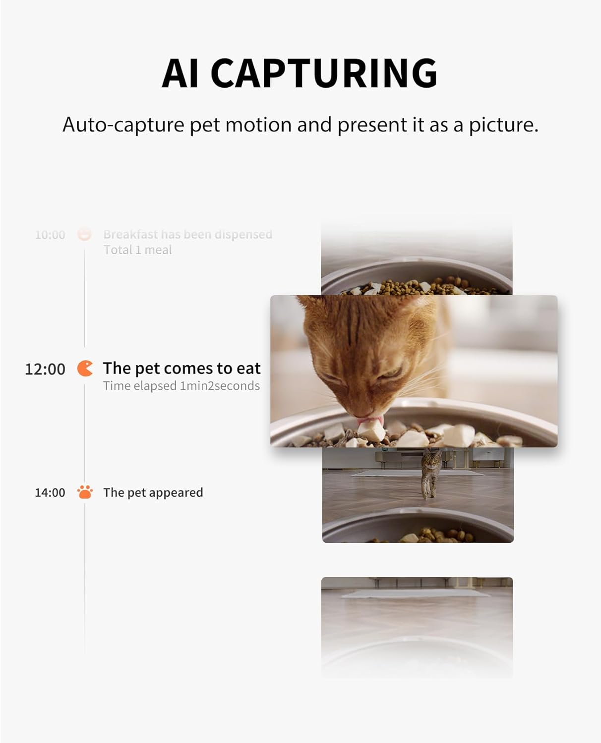 PETKIT Automatic Cat Feeder with Camera, 1080P HD Video with Night Vision, 2.4G WiFi Pet Feeder for Cat & Small Dog, 2-Way Audio & Meal Call Pet Food Dispenser with Desiccant Bag, Motion Capturing